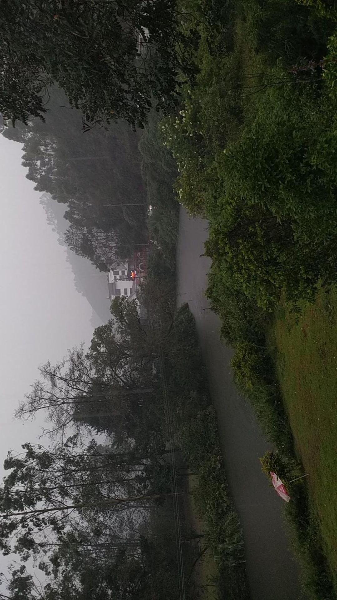 Sisiram River Side Munnar Εξωτερικό φωτογραφία